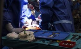 featured 2721520 265x160