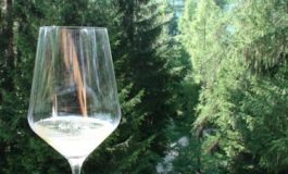 featured 2721923 265x160