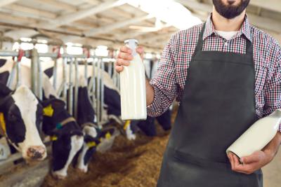 Agricoltura, Ismea: filiera lattiero casearia cresce e si rafforza sui mercati esteri