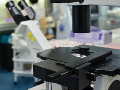 Sanità: in Usa +460% infezioni enterobatteri Ndm resistenti alle terapie