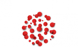 featured 2748474 265x160