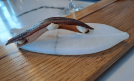 featured 2758944 265x160