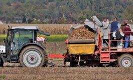 foto decreto flussi 265x160