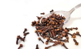 chiodi di garofano richiamati