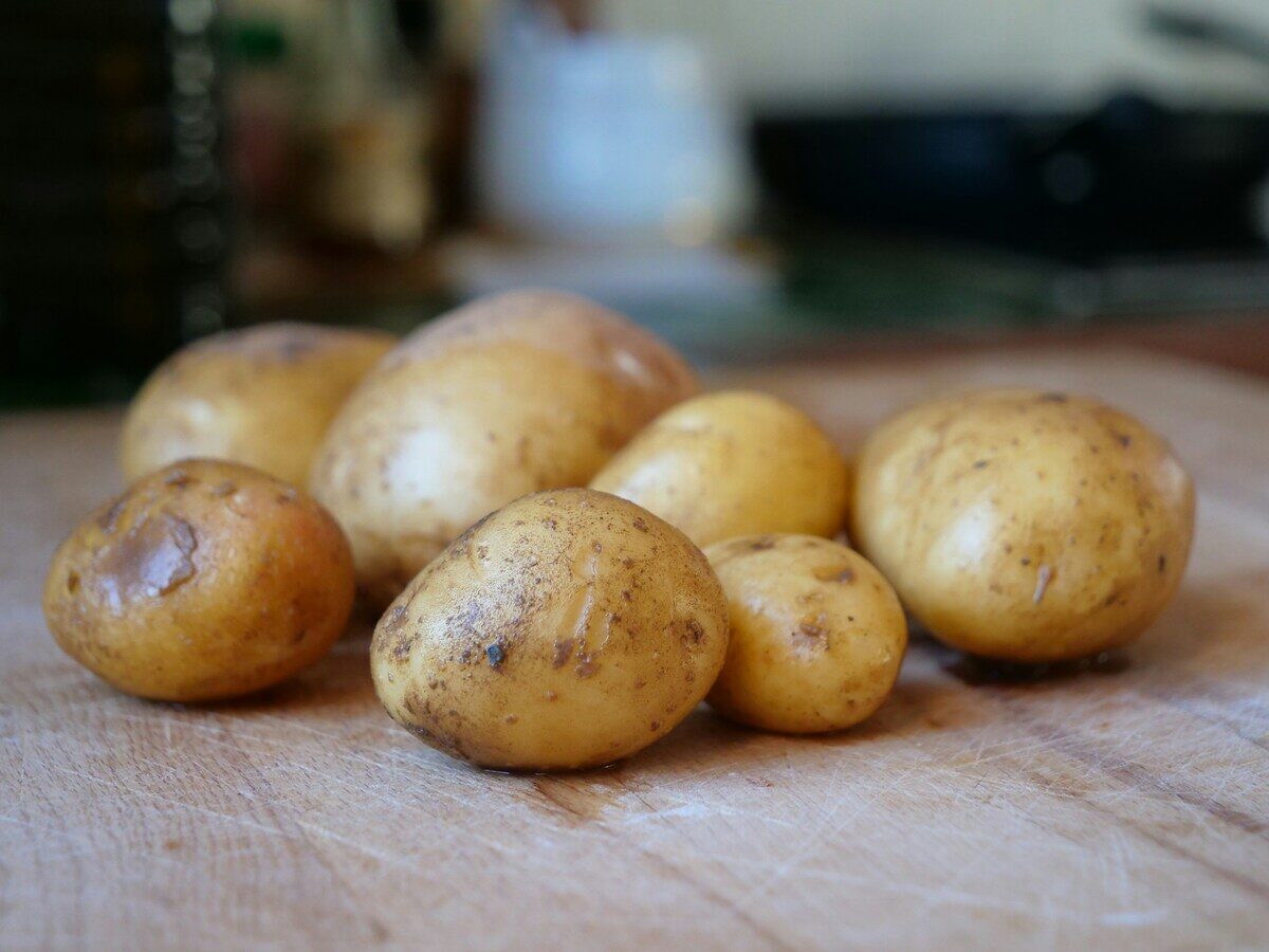 Cosa succede se mangio le patate germogliate? Ecco tutti i rischi per la salute