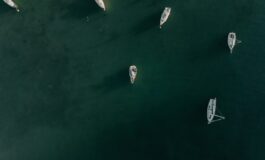 appello mattarella flotilla