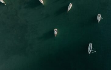 appello mattarella flotilla