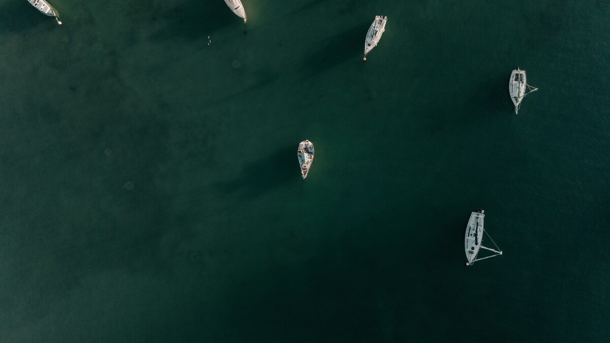Flotilla, l'appello di Sergio Mattarella: "Non rischiate l'incolumità"