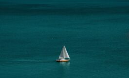 global sumud flotilla giornalista espulsa