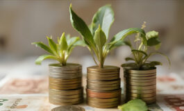 pil in crescita 265x160