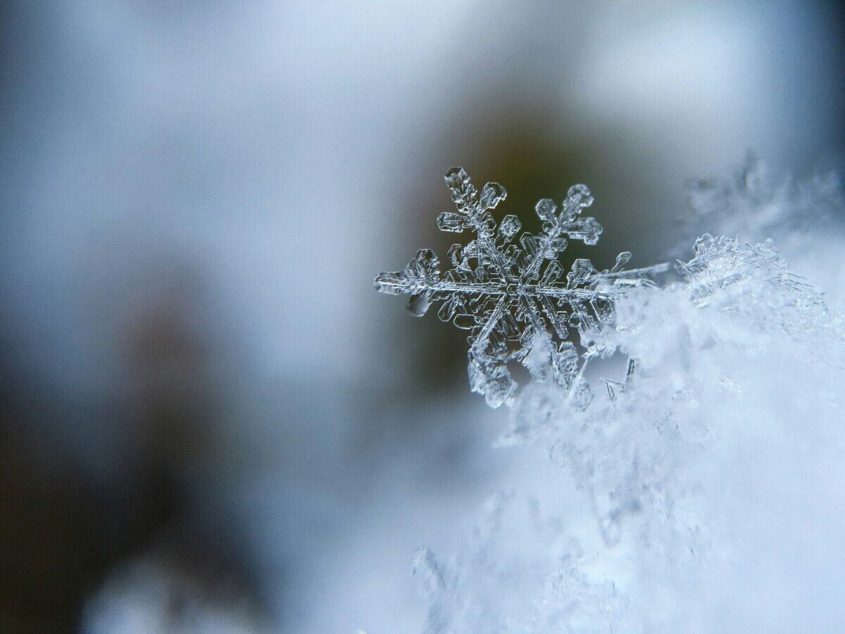 Cosa significa sognare la neve? Ecco cosa devi sapere