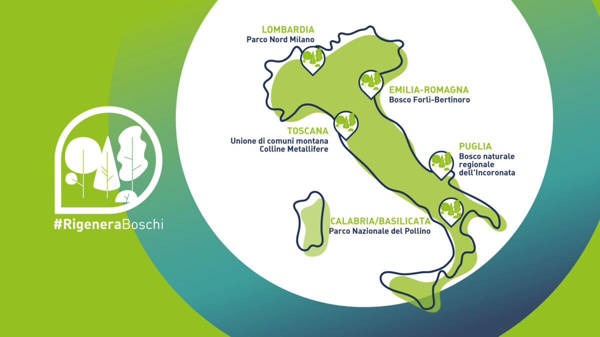 boschi scaled e1760515946847