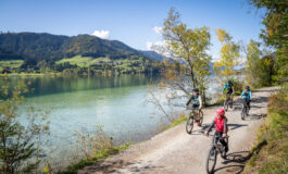 carinzia e1759915401656 265x160