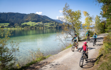 carinzia e1759915401656 364x230