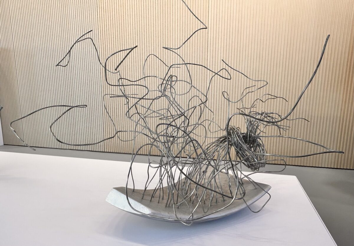 controllo scaled e1760359757431