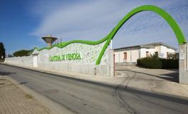 featured 2760652 265x160