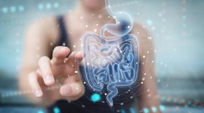 Medicina, scoperto perch&eacute; asma e allergie alimentari cambiano, nascono da microbiota