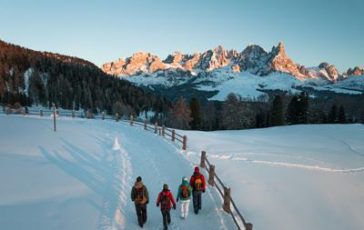 featured 2765952 364x230