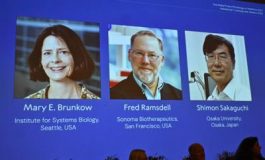 featured 2771540 265x160