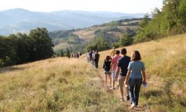 featured 2771544 265x160