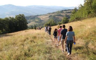 featured 2771544 364x230