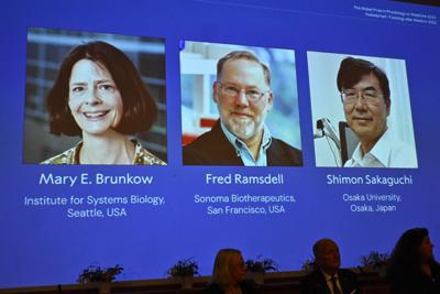 Nobel per la Medicina a Brunkow, Ramsdell e Sakaguchi: hanno scoperto la 'security' del sistema immunitario