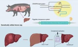 featured 2779878 265x160