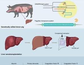 featured 2779878 297x230