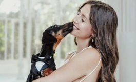 featured 2780733 265x160