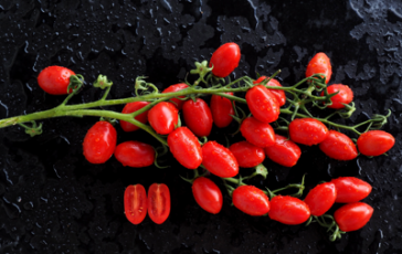 featured 2831673 364x230