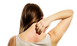 featured 2831847 265x160