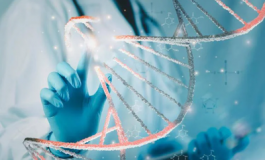 featured 2835733 265x160