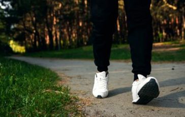 featured 2879271 364x230