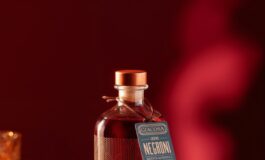 giacosa negroni 1 e1760599633328 265x160