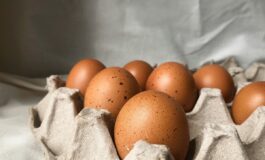 uova fresche richiamate salmonella