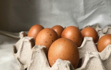 uova fresche richiamate salmonella