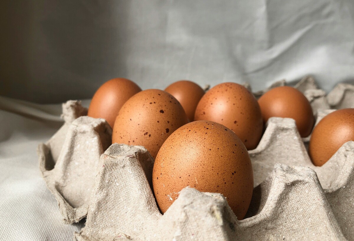 Allerta alimentare: richiamate uova fresche per rischio salmonella