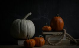 image 3e4764a1 66c1 4c82 9558 59d61247de7c 265x160