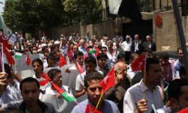 proteste pro palestina università milano