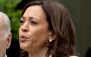 image 9351ba84 c0bf 4db1 a79d 8a2e471ae34d 364x230