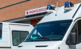 sciame calabroni attacco