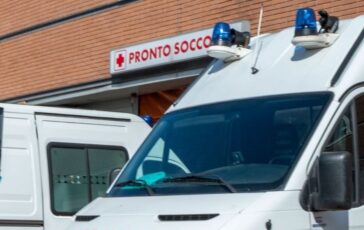 sciame calabroni attacco
