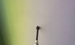 divis resine 265x160