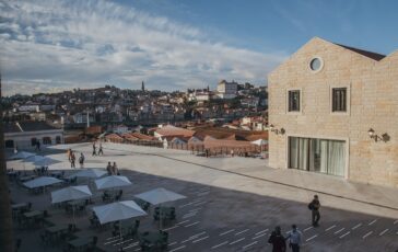Un viaggio nel cuore delle storiche cantine: l'esperienza unica tra vini e cultura