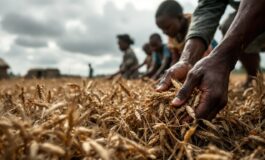 emergenza fame nel congo orientale cause e conseguenze della crisi alimentare 1762540770 265x160