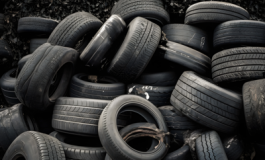 featured 2936830 265x160