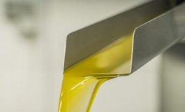 featured 2936834 265x160