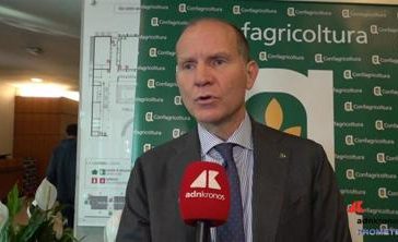 featured 2939900 364x222