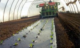 featured 2941873 265x160