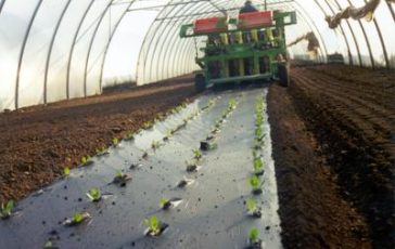 featured 2941873 364x230